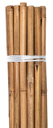Grower's Edge Natural Bamboo 6 foot stakes (50 per bag) in Bulk (740760) UPC 20847127004788