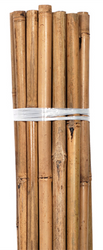 Grower's Edge Natural Bamboo 4 foot stakes (100 per bag) in Bulk (740755) UPC 10847127004774