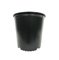 The Harvest Company Round Black Plastic Nursery Pots (2 Gallon) in  Bulk