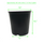The Harvest Company Round Black Plastic Nursery Pots (2 Gallon) in  Bulk (2)