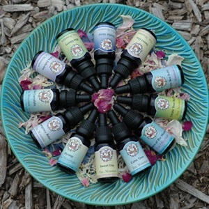 Flower Essences of Fox Mountain