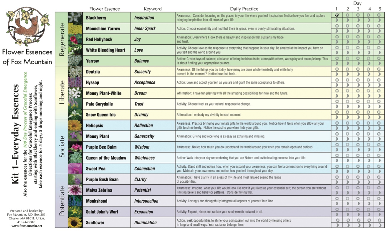 Flower Essence Chart