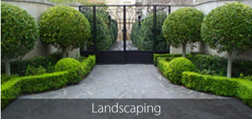 fpamini-landscaping.jpg