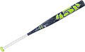 Worth 454 Fastpitch Softball Bat (-10) FP454