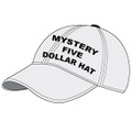 Mystery Five Dollar Hat(5737)