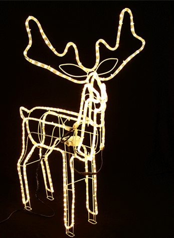 Clear Deer Lights