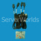 Refurbished HP Moonshot 1500 Starter System Server w/30 x M300 757645-B21 Cables & Components