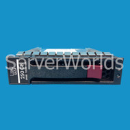HP 713960-001 250GB 3G 3.5" SATA Hot Plug Hard Drive 713942-001