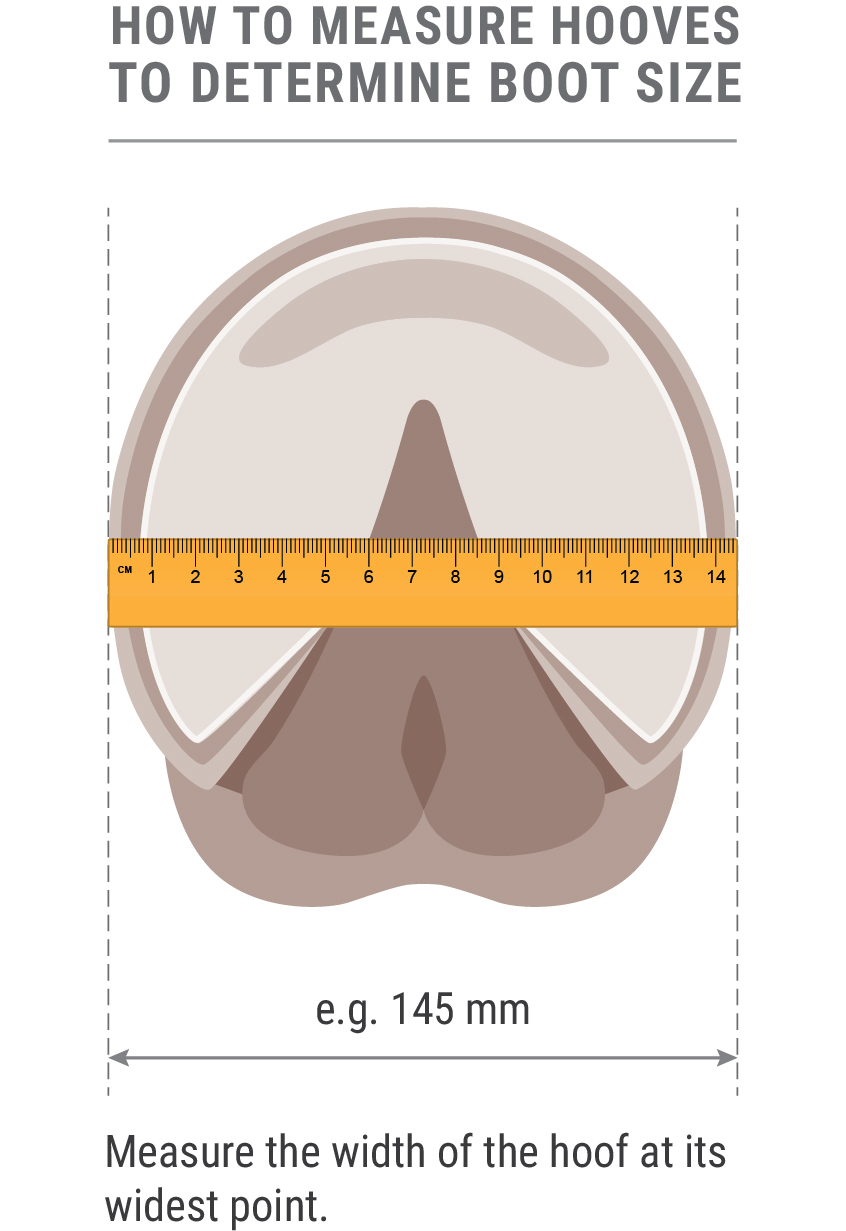 measuring-hoof-diagram-for-boots-for-no-table-3-02.jpg