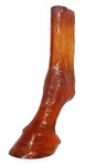 Sound Horse urethane glue-on shoe demonstration leg