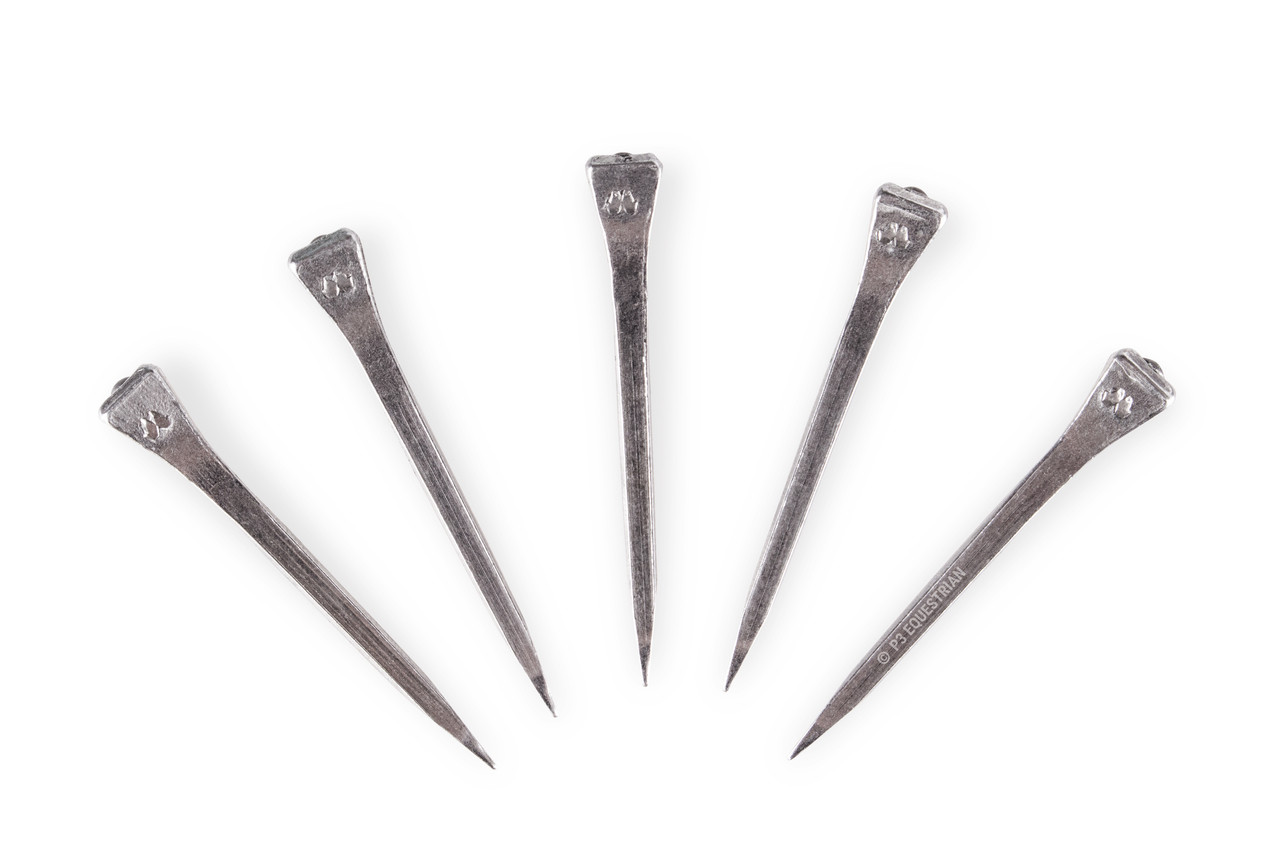 Horse shoe road nails