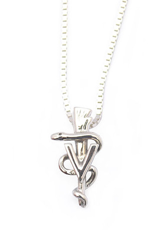 Sterling silver vet caduceus necklace