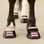 Scoot Boot Pastern Strap Blossom
