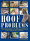 Hoof Problems by Rob van Nassau