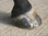 HSP Hoof Support Patches