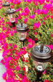 8-Pk Outdoor Solar Garden Bronze Solar Landscape Lights