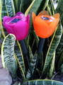 2-Pk Plastic Solar Powered Tulip Lights
